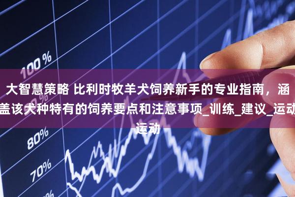 大智慧策略 比利时牧羊犬饲养新手的专业指南，涵盖该犬种特有的饲养要点和注意事项_训练_建议_运动