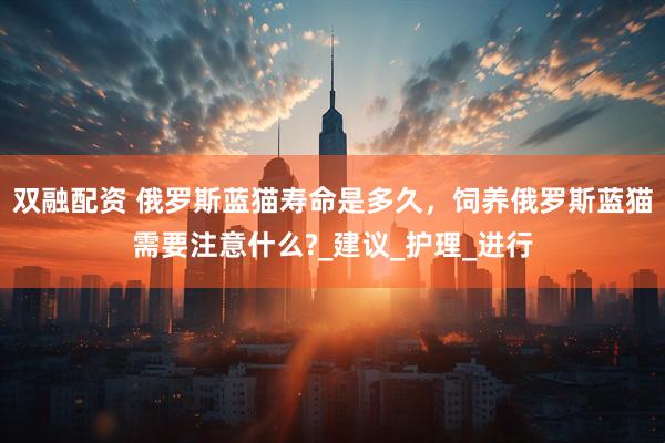 双融配资 俄罗斯蓝猫寿命是多久，饲养俄罗斯蓝猫需要注意什么?_建议_护理_进行